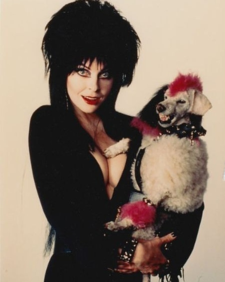 100+ horror movie names for dogs