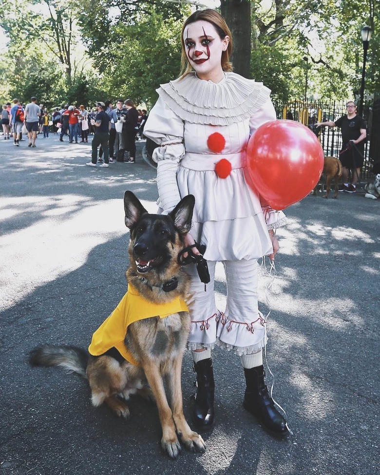 100+ horror movie names for dogs