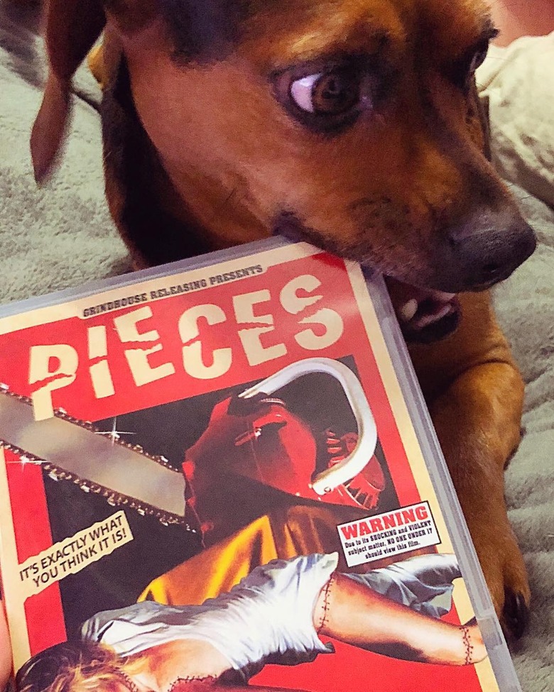 100+ horror movie names for dogs