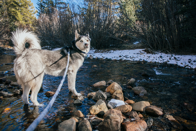 Breckenridge Hiking with Snow