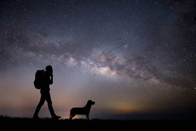 Silhouette Man Walking With Dog On Field Against Star Field