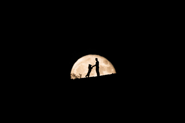 Full moon behind the silhouette of a dog and its owner