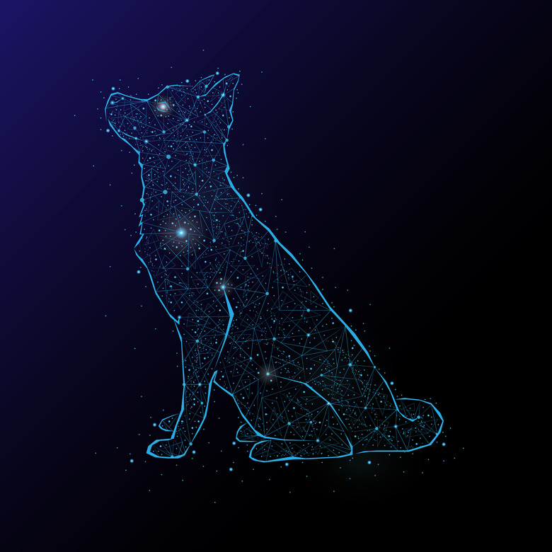 Abstract image of a dog in the night sky and space. Consisting of points and lines.