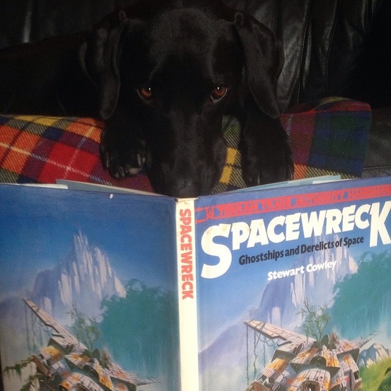 Sci-fi names for male and female dogs