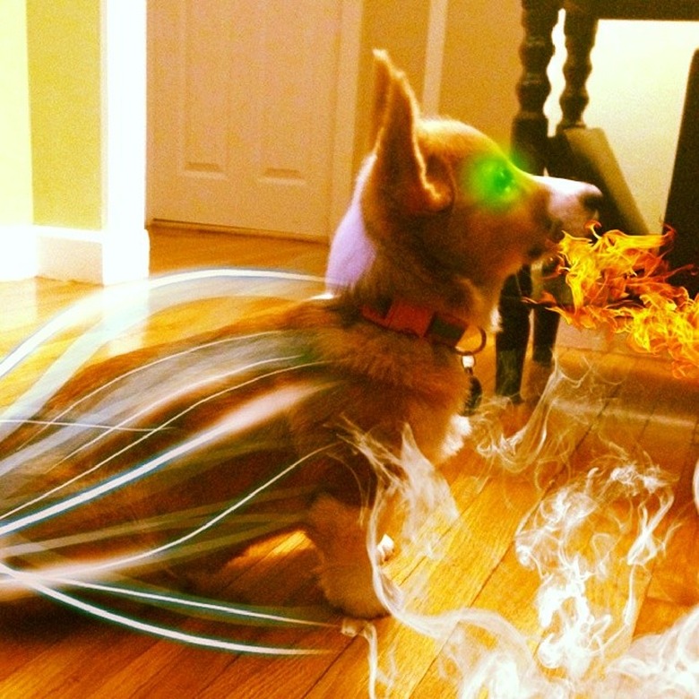 Sci-fi names for male and female dogs