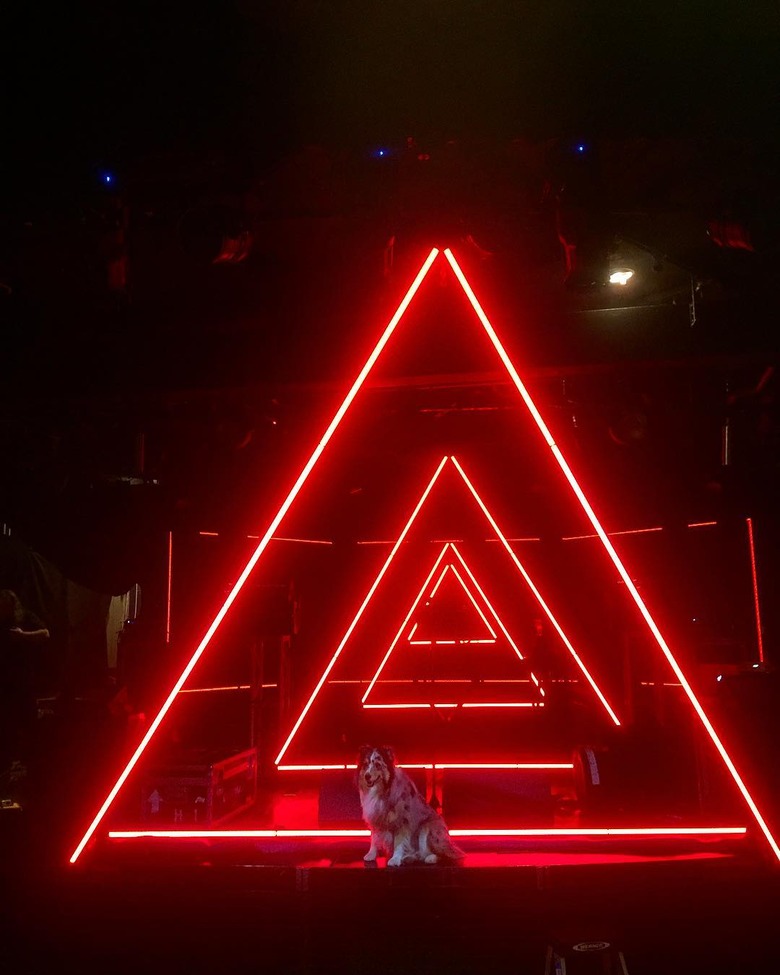 Sci-fi names for male and female dogs