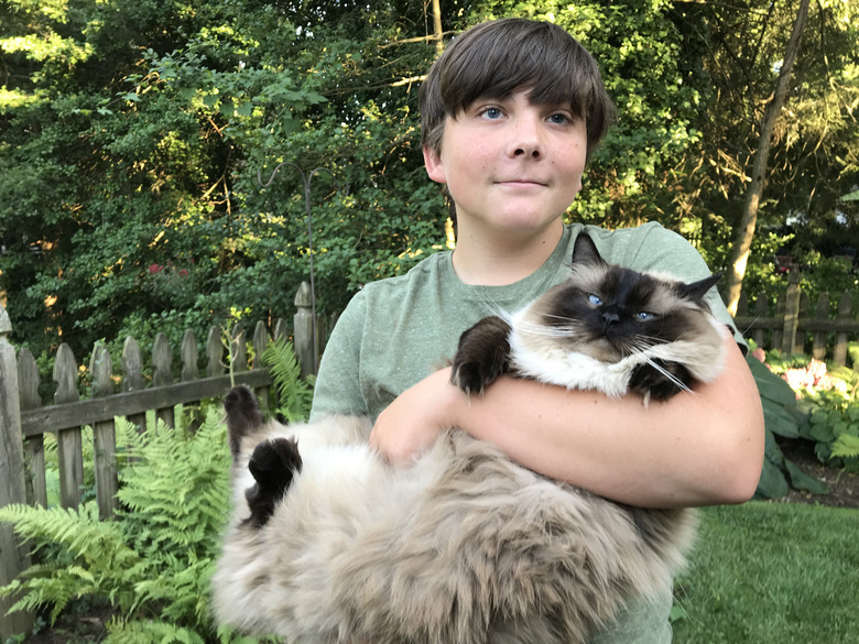 Boy Holding a Big Cat