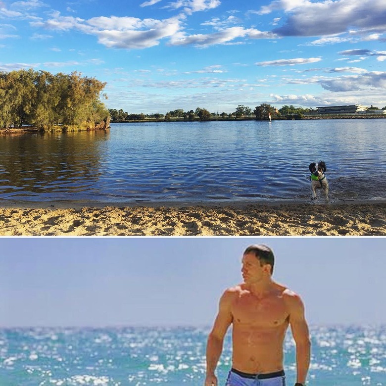 124 Punny Names For Your Newly Adopted Dog