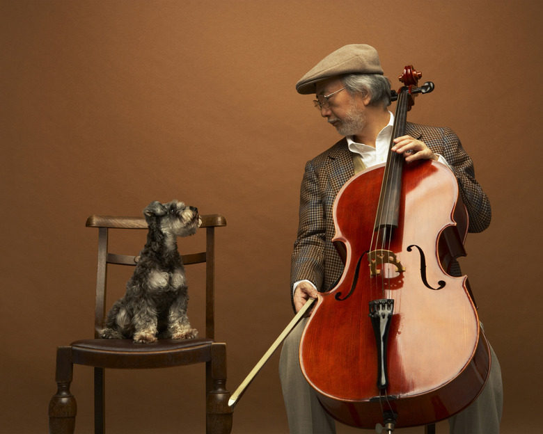 Miniature Schnauzer And Senior Man With Cello