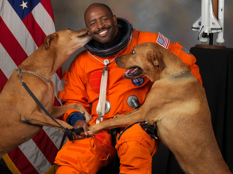 Astronaut being licked by two dogs