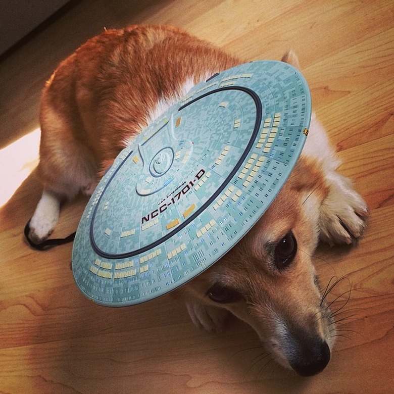 Star Trek-inspired names for male and female dogs and puppies