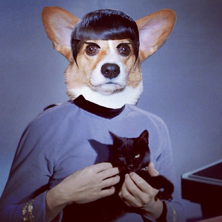 Star Trek-inspired names for male and female dogs and puppies