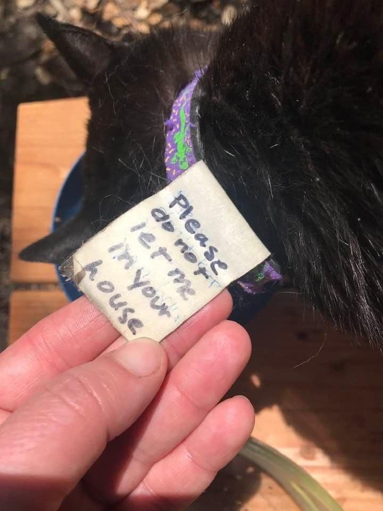 A black cat wears a sign saying: please don't let me in your house