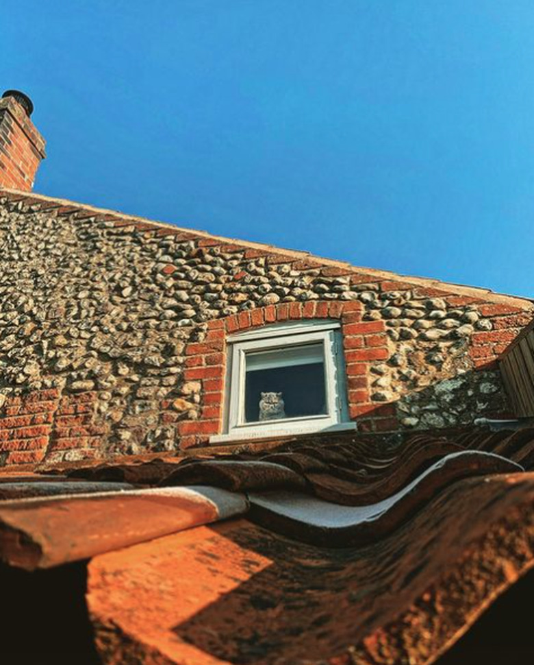 Upward view of a small window at the top of a brick house. In one corner of the window