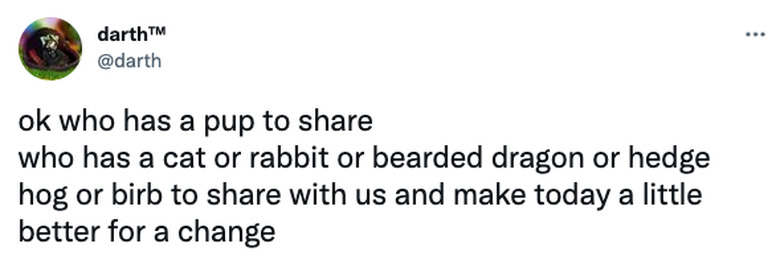 social media personality calls for photos of cute pets