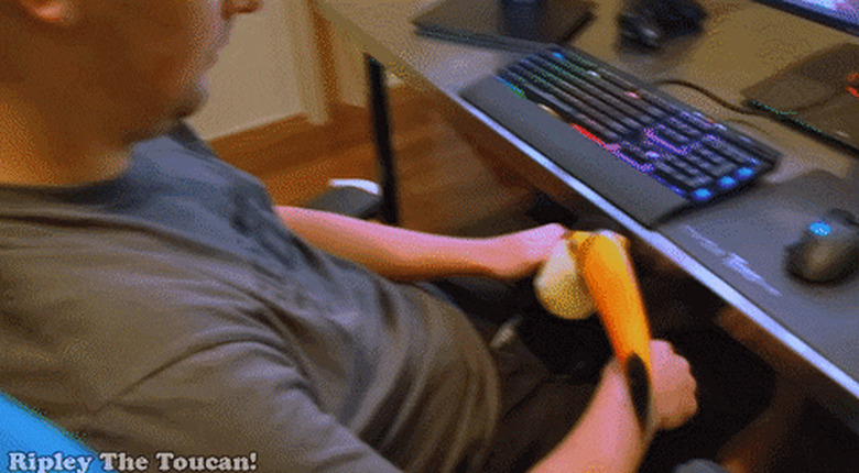 man holds bird in lap like dog