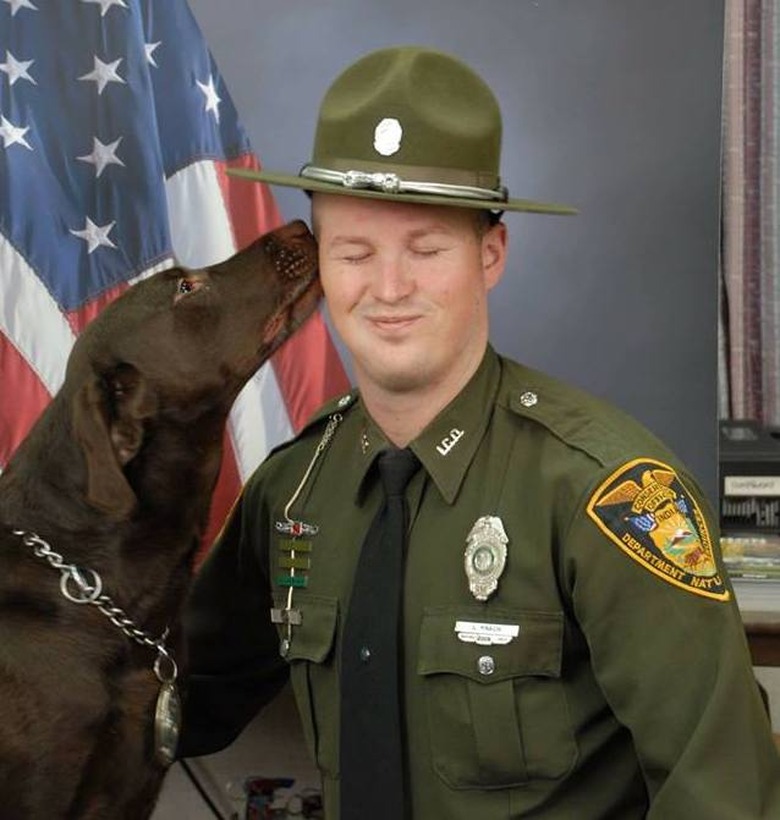 19 Of The Most Heartwarming Animal Moments Ever