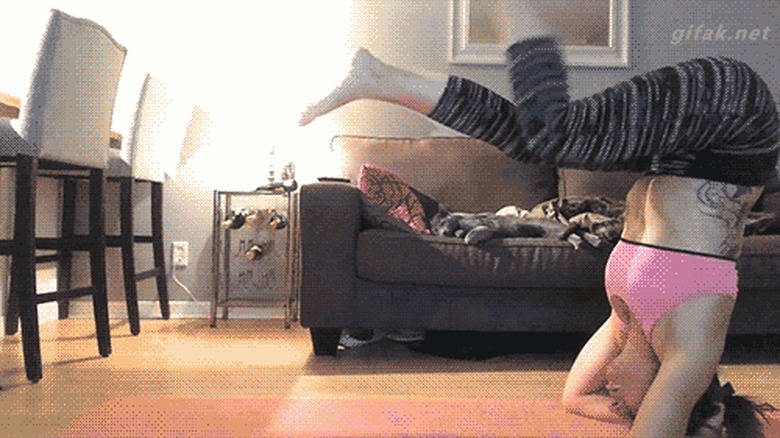 cats run away when woman falls down doing yoga
