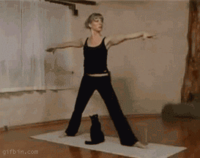 cat bites woman doing yoga