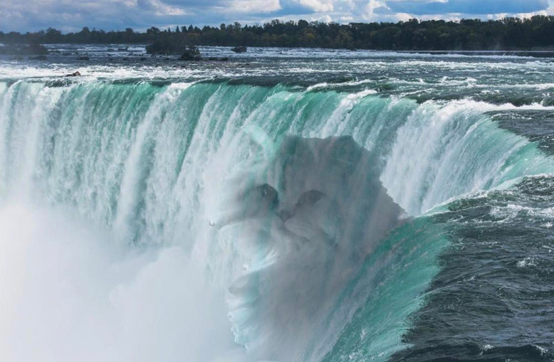 20 Cats Who Think They're Liquid