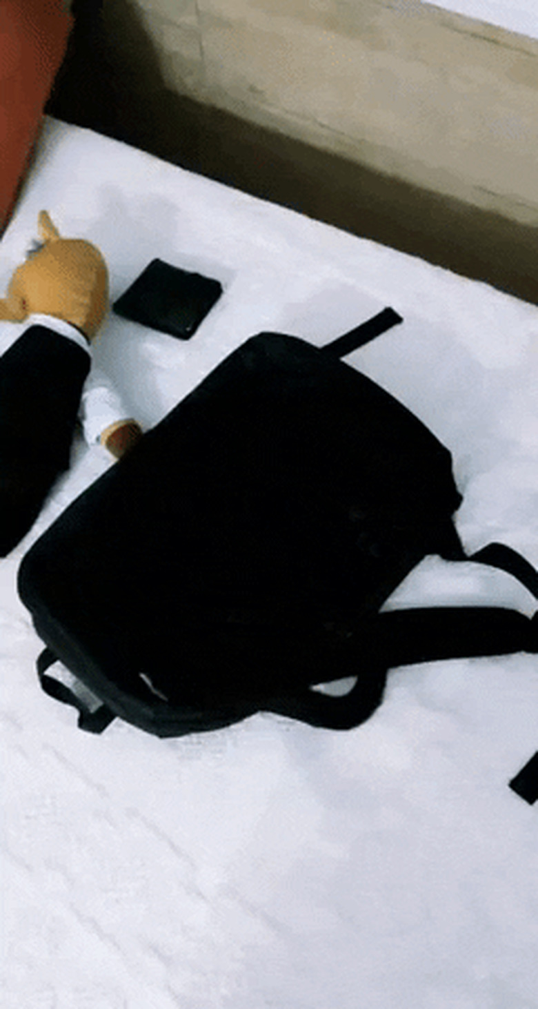 black cat sleeping on black bag