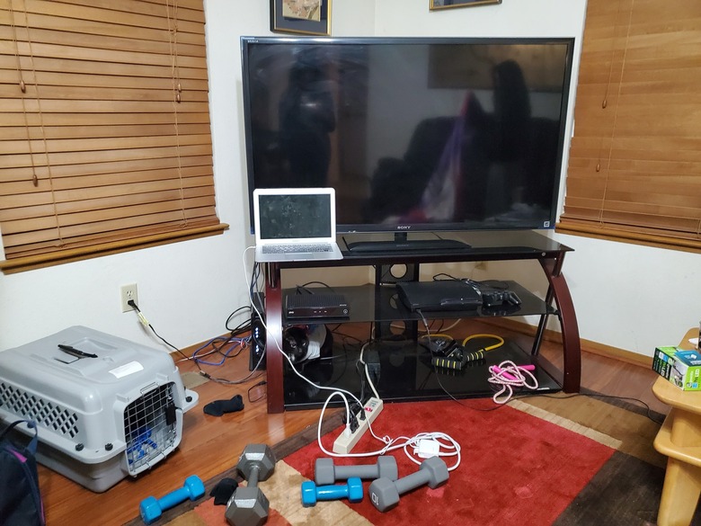 black cat blends into tv stand