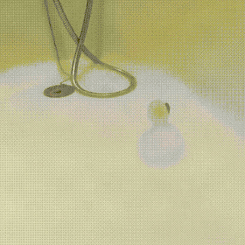 puppy's first bath