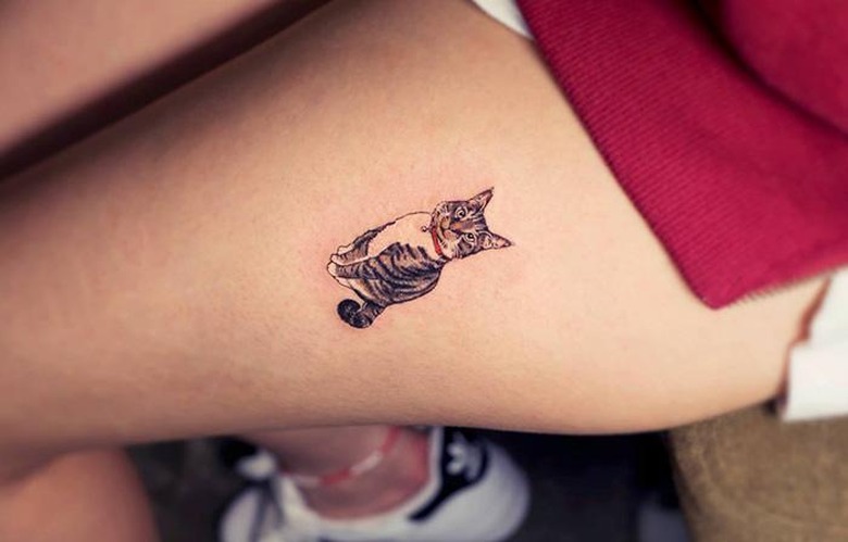 29 Things You Know If Your Facebook Profile Is A Photo Of A Cat