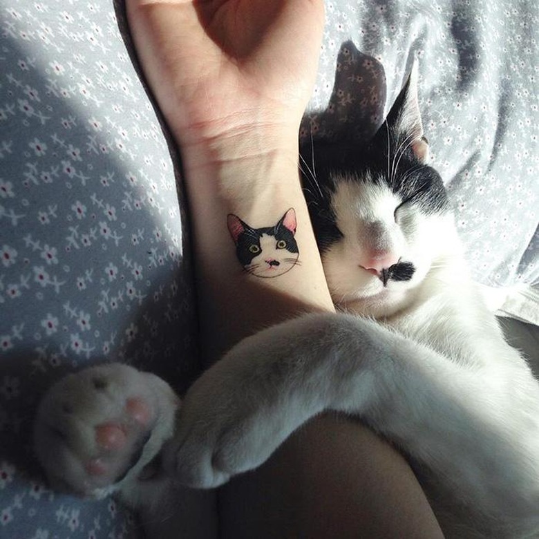 29 Things You Know If Your Facebook Profile Is A Photo Of A Cat