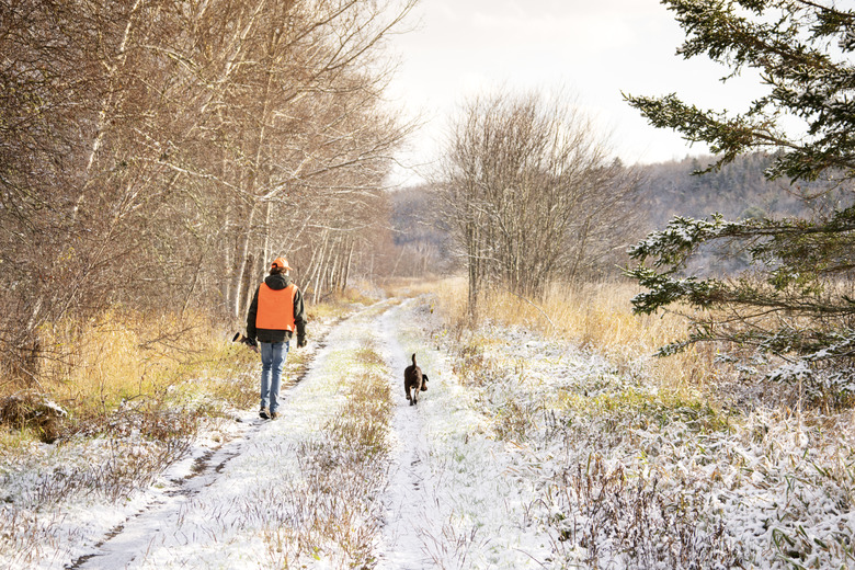 A teen hunter with his Labrador Retriever