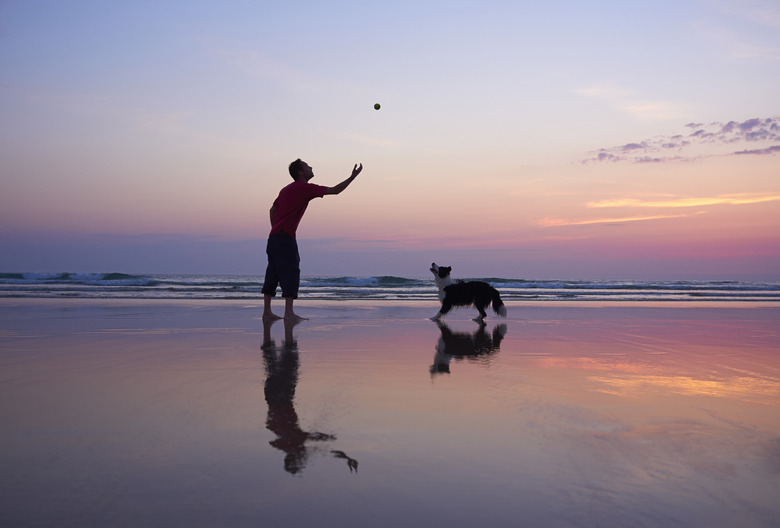 A beach at sunset