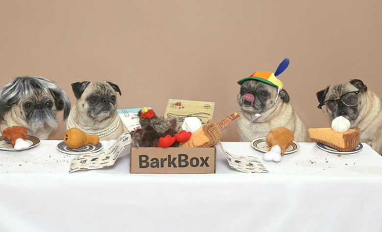 BarkBox