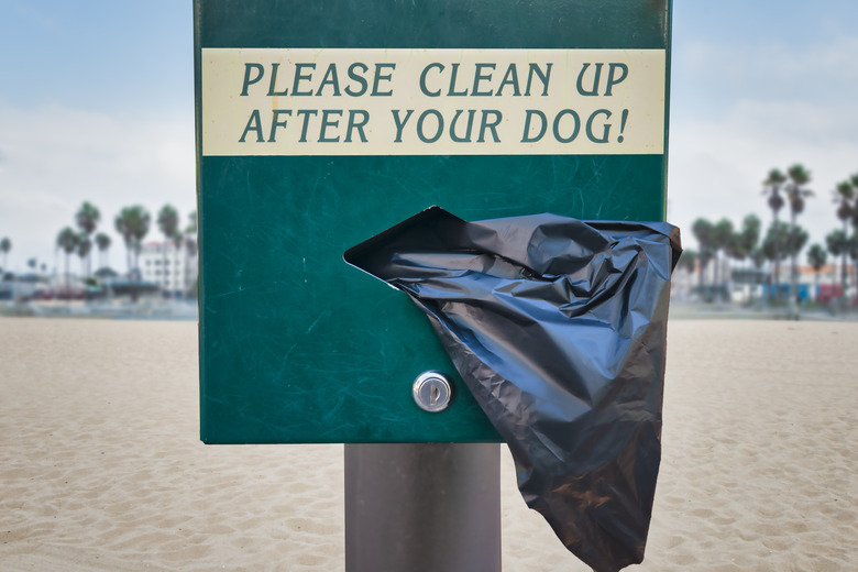 Dog Waste Station with disposable plastic bags