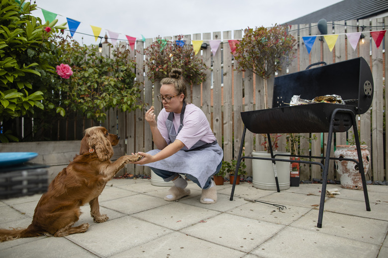 Woman holding a dog's paw