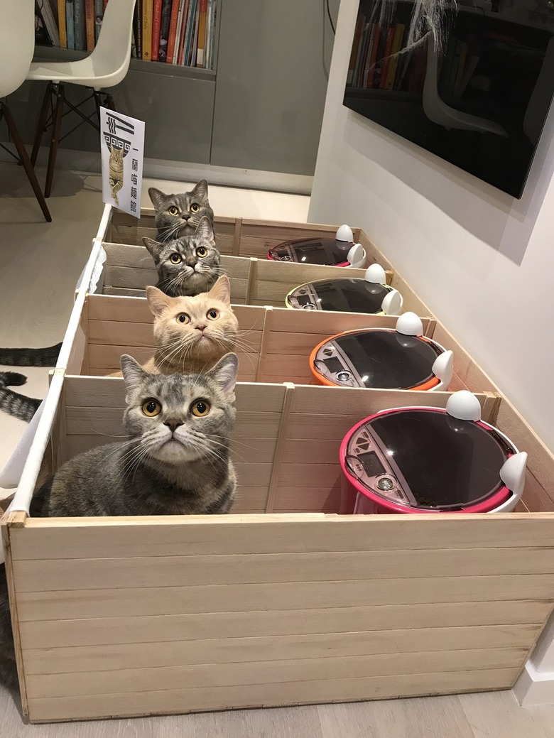 Cat Partition