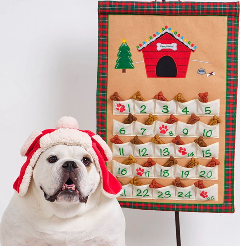 White bulldog in a holiday hat sitting next to a handmade
