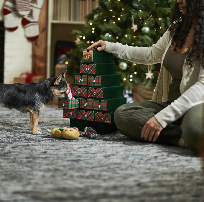 Woman and her dog playing with toys in the Frisco advent toy calendar.