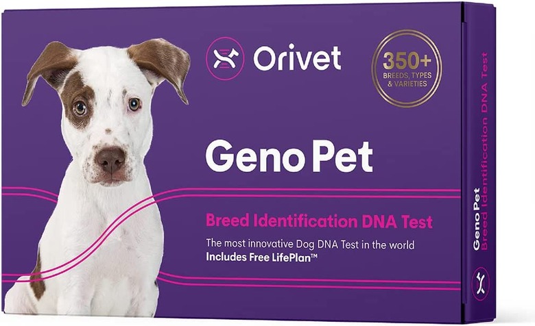 Orivet dog DNA test kit.