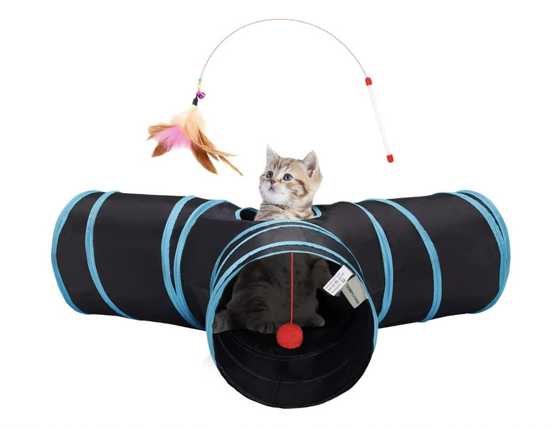Tempcore Cat Tunnel in black with blue trim