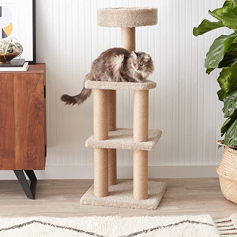 Amazon Basics Cat Activity Tree With Scratching Posts
