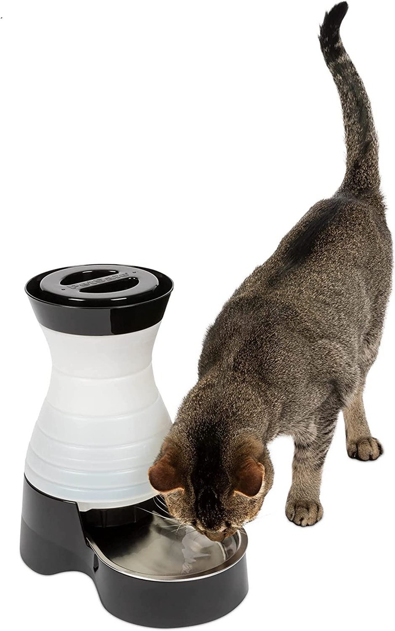 PetSafe Healthy Pet Gravity Food or Water Station