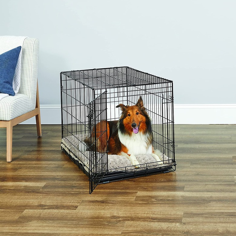 Collie dog sitting inside a New World Single Door Dog Crate
