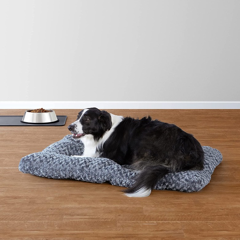 Cattle dog laying on a 40-inch pet bed in a gray color.
