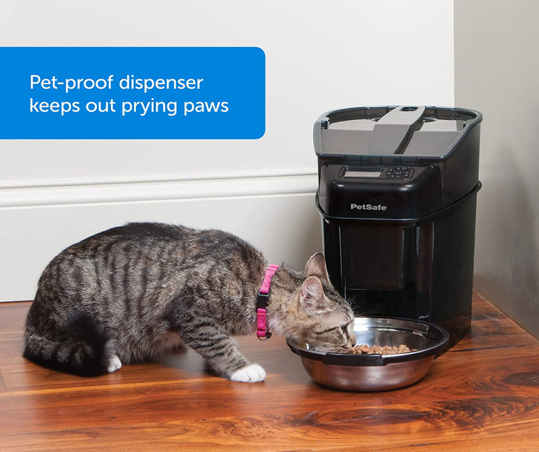 Cute striped cat eating out of automatic pet feeder bowl.