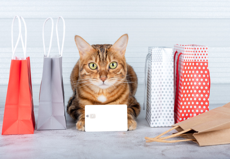 Credit card in the paws of a cat and colored shopping bags. Place to insert.