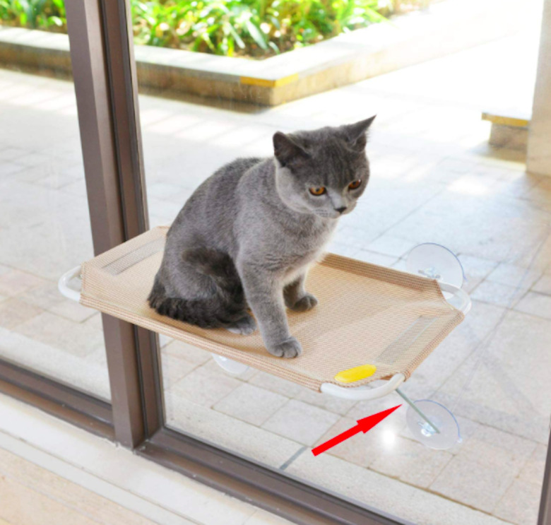 Gray cat sitting on LSAIFATER Cat Window Perch Middle Golden.