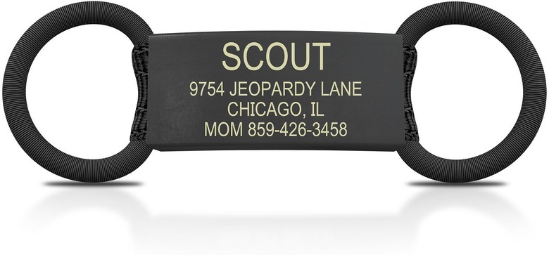 Road ID Cat ID Tag in Graphite
