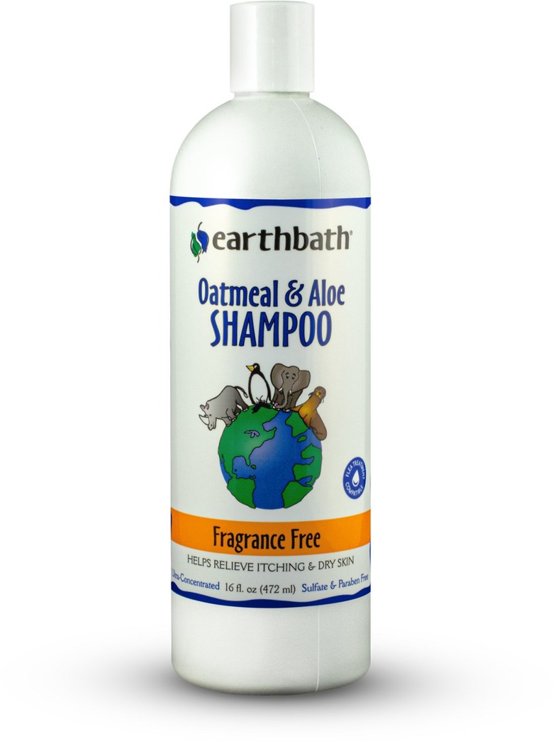 Earthbath Oatmeal Cat Shampoo