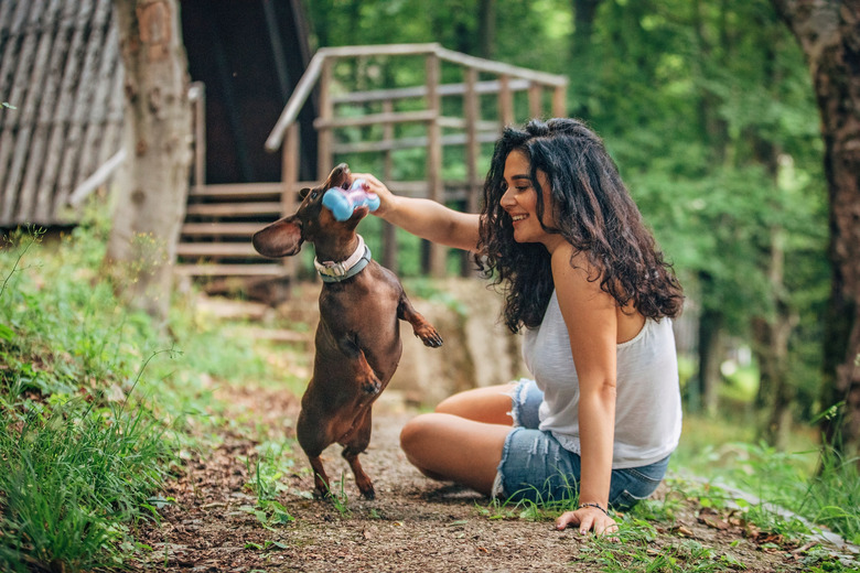 Happy woman and her dog playing