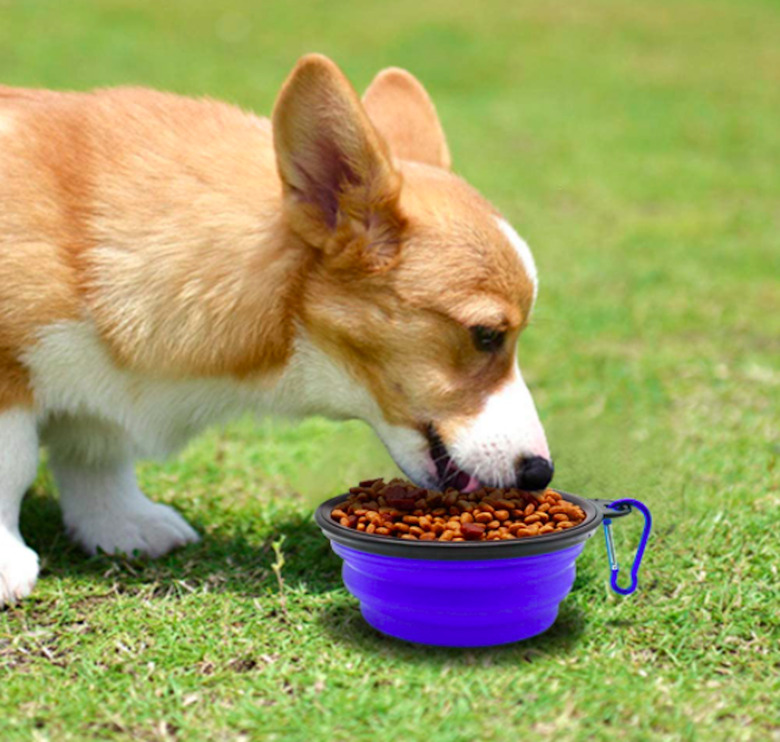 SLSON Collapsible Dog Bowl